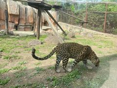 -沈阳森林动物园