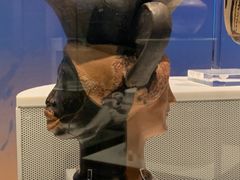 -墨尔本博物馆(Melbourne Museum)