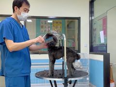 -天宠宠物医院24小时·急重症诊疗中心·全科·腔镜特色(和平分院)