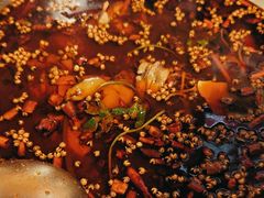 -味之绝热血美蛙鱼火锅(中坝店)