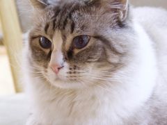 -白兔子密室(长寿路店)