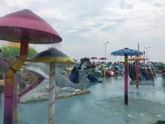 -秦皇岛乐岛海洋王国