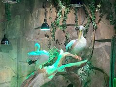 -zoonana室内动物园(东方福来德店)