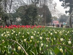 -无锡梅园公园