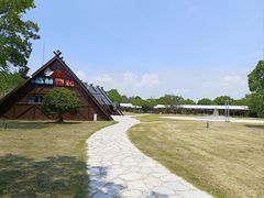-东平国家森林公园