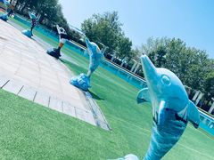 -秦皇岛乐岛海洋王国