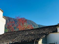 -塔川景区