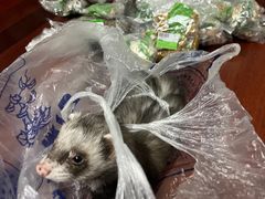 -上海市中医医院(芷江路院区)