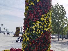 -北京奥林匹克公园