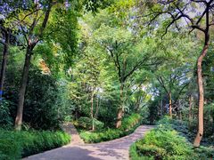 -杭州半山国家森林公园