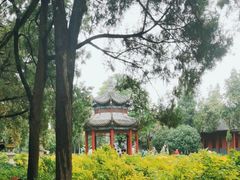 -洛阳白马寺