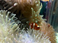 -太平洋海底世界