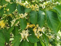 -鹫峰国家森林公园