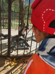 -萌宠亲子动物乐园(槐房万达店)