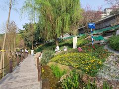 -重庆彩云湖湿地公园