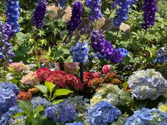 -人民公园(罗湖区)