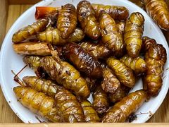 -昆虫窝子·特色云南菜(拓东路总店)