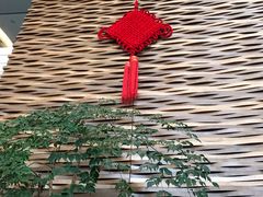 -天津海河悦榕庄·Lobby Lounge大堂吧