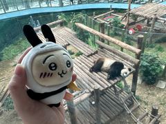 -大连森林动物园