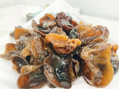 黑木耳-一代菌王·竹荪鹅(江苏旗舰店)