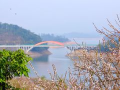 -广州市流溪河国家森林公园