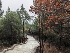 -红螺寺