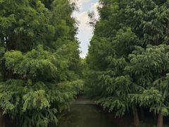 -捞渔河湿地公园