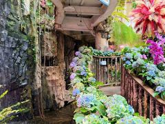 -正佳雨林生态植物园