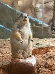 -Zoolung Zoolung动物主题公园(海信广场店)