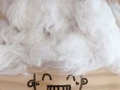 -喵五郎の猫咪酒店·专业洗护·寄养