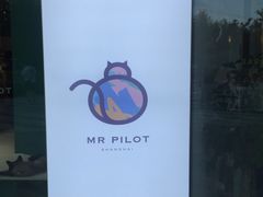-飞行喵MR PILOT|猫舍·猫咖(静安大融城店)