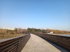 -昆山城市生态森林公园