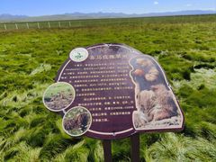 -花湖生态旅游区