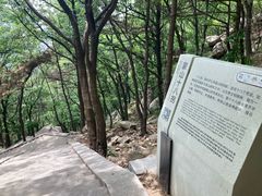 -沂蒙山旅游区龟蒙景区