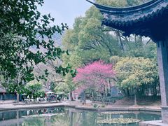 -兰亭风景区
