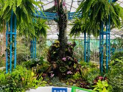 -石家庄市植物园