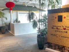 -大视光学•LINDBERG林德伯格•全球手工眼镜集合店(王府井店)