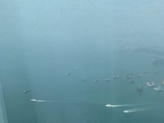 -天龙轩(香港丽思卡尔顿酒店)