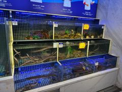 -开海·红岛海鲜虾水饺(石老人店)