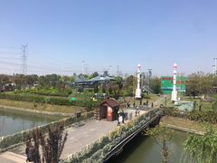 -菊园百果园