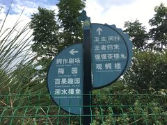 -中国扬子鳄村