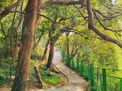-平湖九龙山旅游度假区