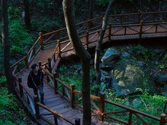 -大岭沟猕猴桃谷风景区