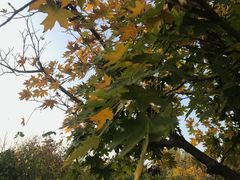 -南湖湿地公园