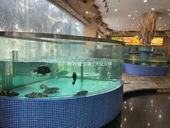 -春满人间酒楼(园岭中路店)