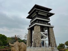-大湾区中央湿地公园
