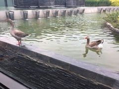 -河北霸州茗汤日月潭温泉