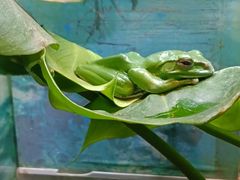 -上海大自然野生昆虫馆
