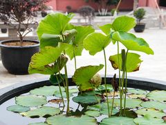 -南京金牛湖风景区