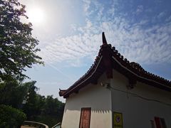 -西苑公园